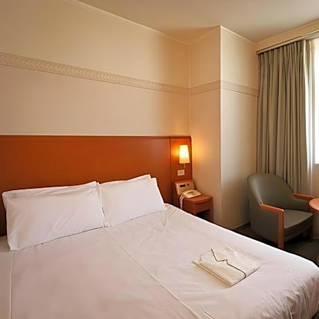 Non-smoking Deluxe single room 16.7 square meters