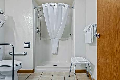 1 Queen Bed, Nonsmoking, Accessible