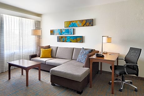 Studio Suite, 1 King Bed with Sofa bed (1 King Bed and 1 Double Sofa Bed)