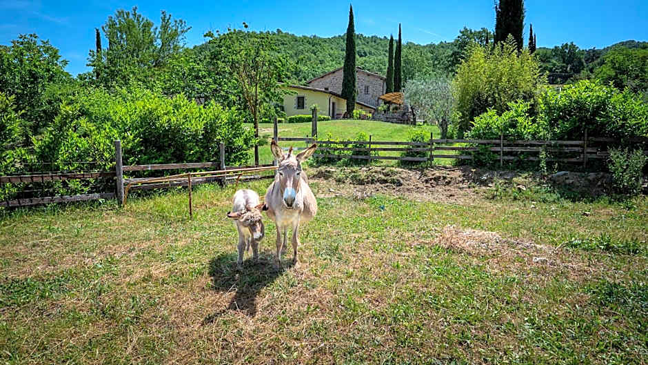 Agriturismo I Pietrini