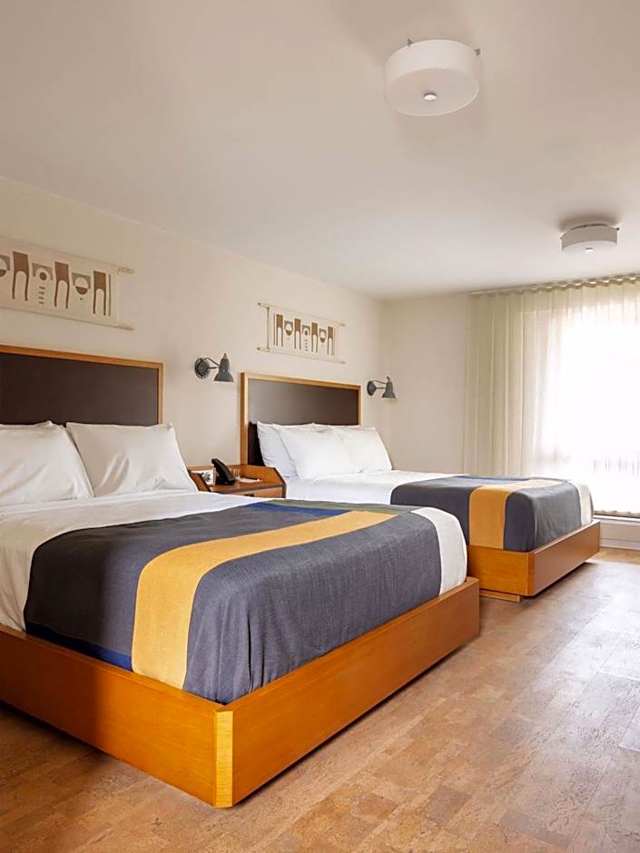 Trailborn Rocky Mountains