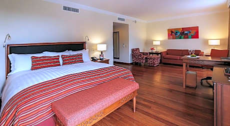 Presidential King Suite
