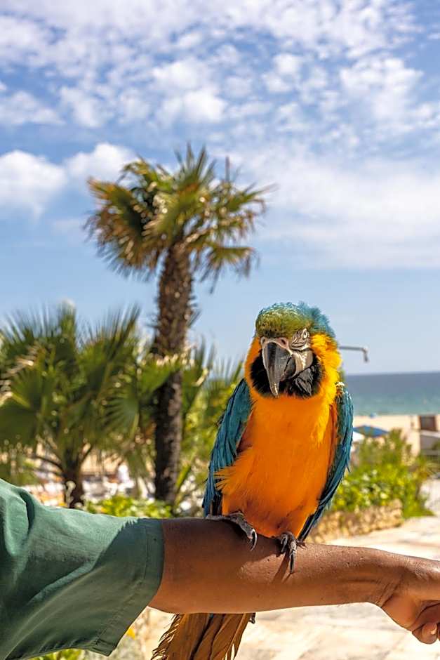 Algarve Casino Hotel