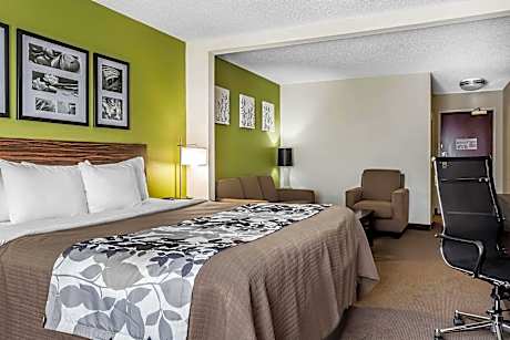 1 King Bed Suite Nonsmoking Accessible