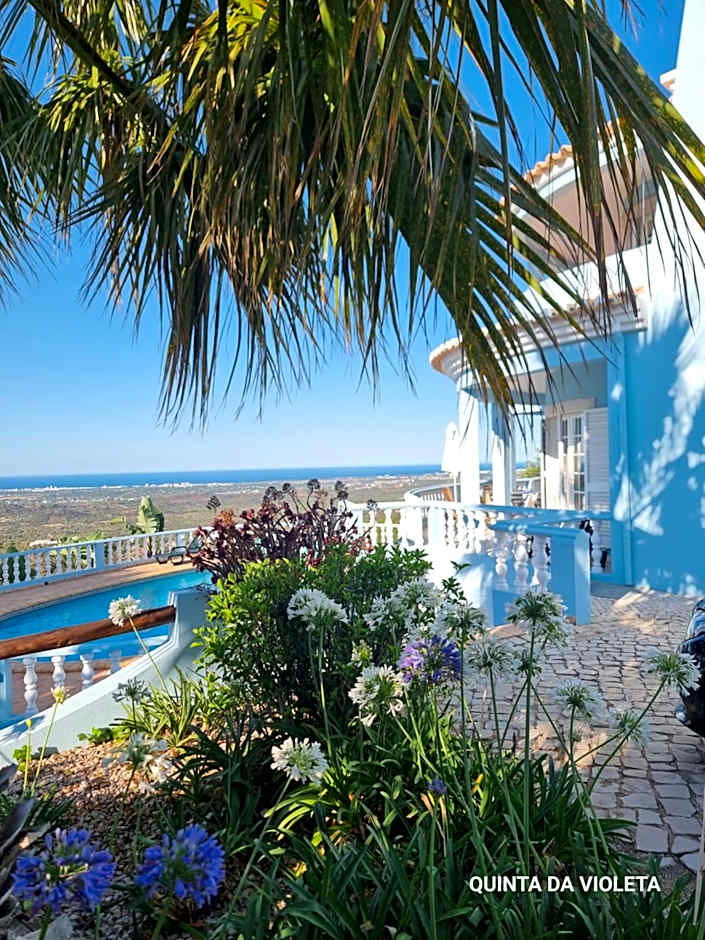 Villa Quinta da Violeta