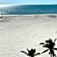 Always Summer On a White Sandy Beach