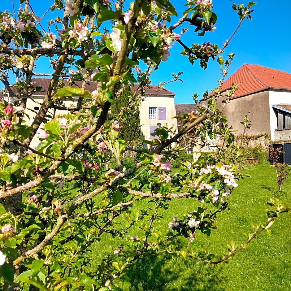 La Maison du Notaire - Chambre d'Hôtes - Huisdieren welkom