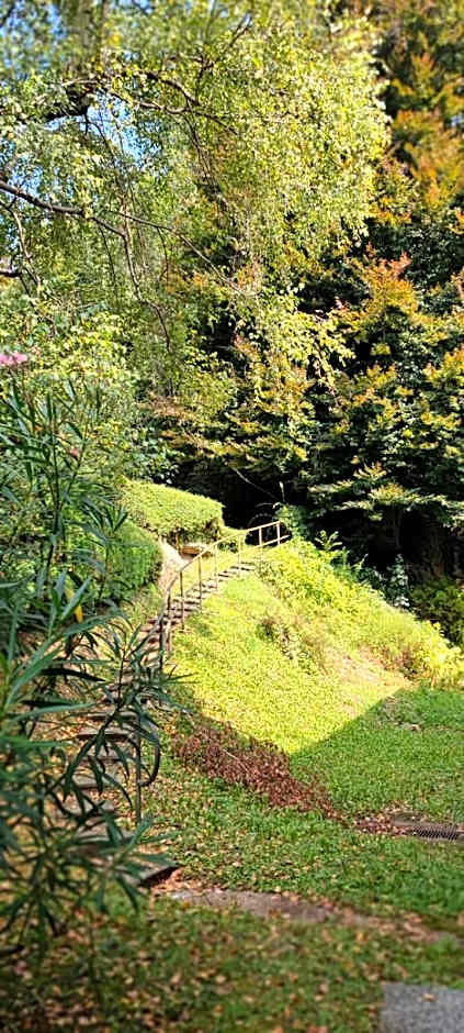 La Finestra sul Lago