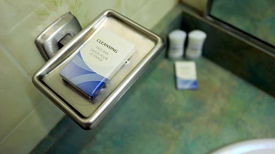 Elite Hotel -Downtown Center- "Ski & Northern light Tour" "Hot Spring Tour "Long-term stay"