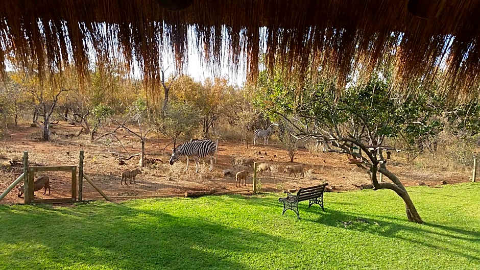 Call of the Wild Lodge