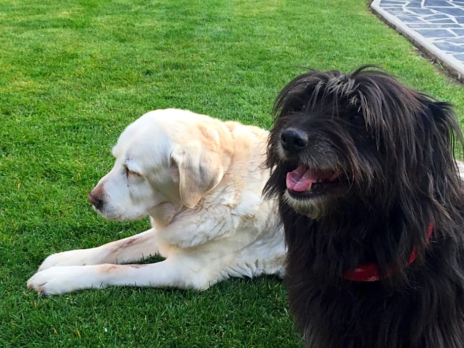 Les Chambres de Paule