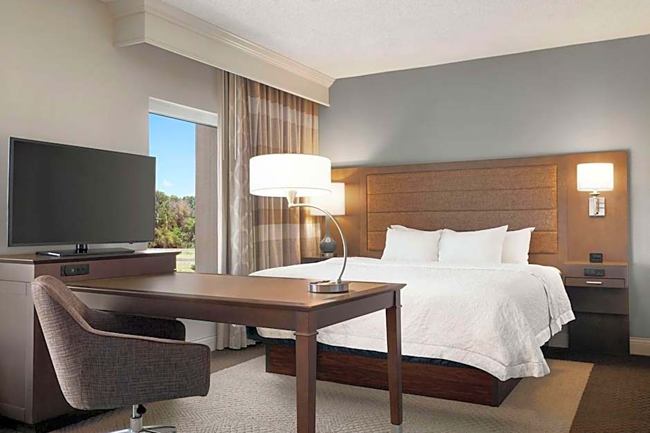 Photo 1 of 4 of 1 Bedroom 1 King Bed with Sofabed Suite