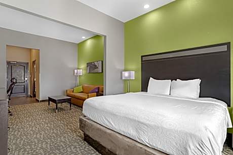 Suite King Bed Mobility Access Bathtub Sofabed For One Microwave Fridge WIFI NSMK Full Breakfast