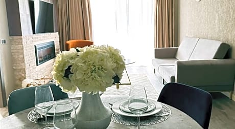 One Bedroom Apartment with Mountain View