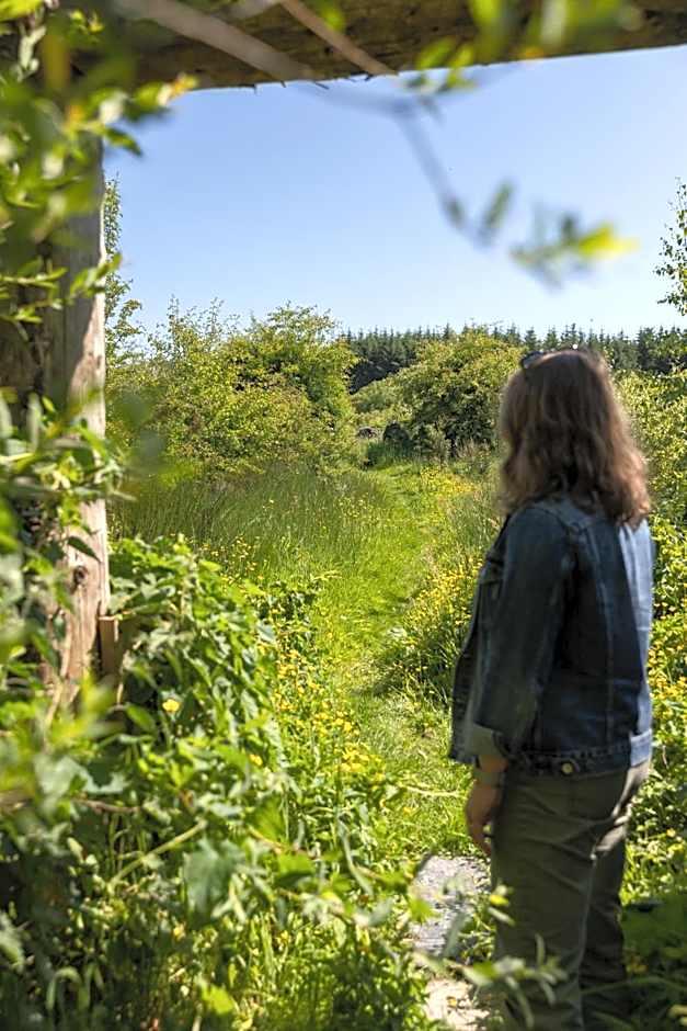 The Common Knowledge Centre