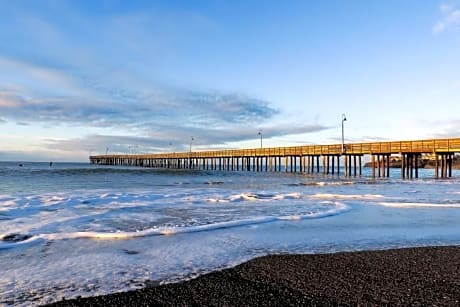 King Room with Roll-In Shower - Disability Access