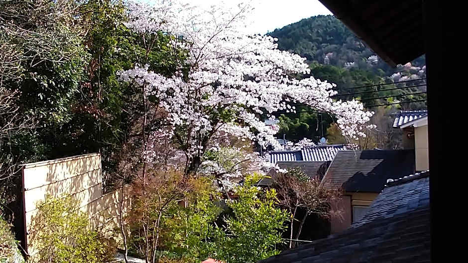 Kinkaku