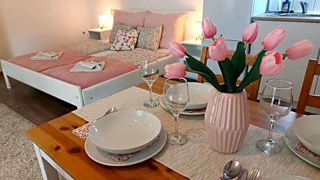 Large One-Bedroom Family Apartment with AC and private Bathroom and Kitchenette
