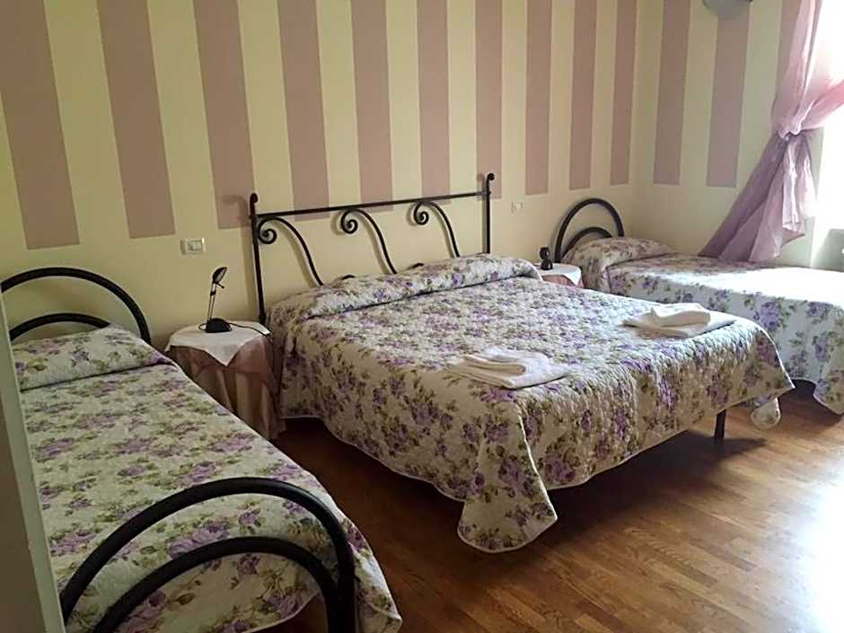 City's House Guest House