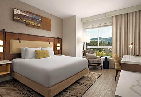 1 King 1 Bedroom Suite