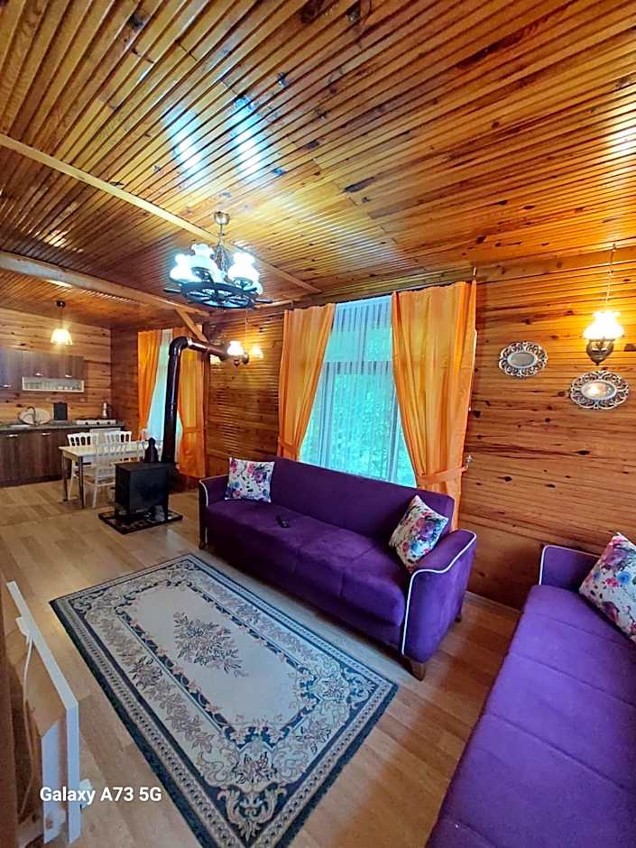 AYDER Nazlı çiçek apart