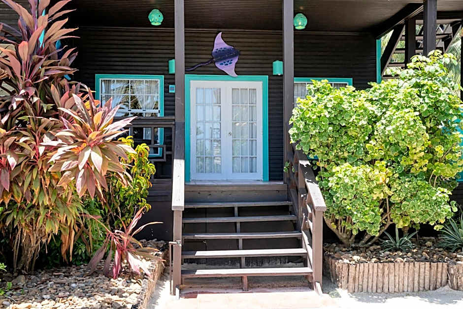 X'tan Ha- The Waterfront