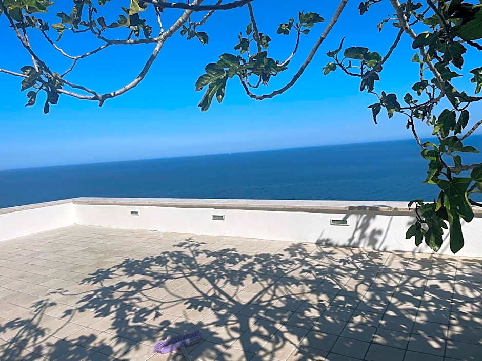 Oliventu - Tra gli ulivi sul mare