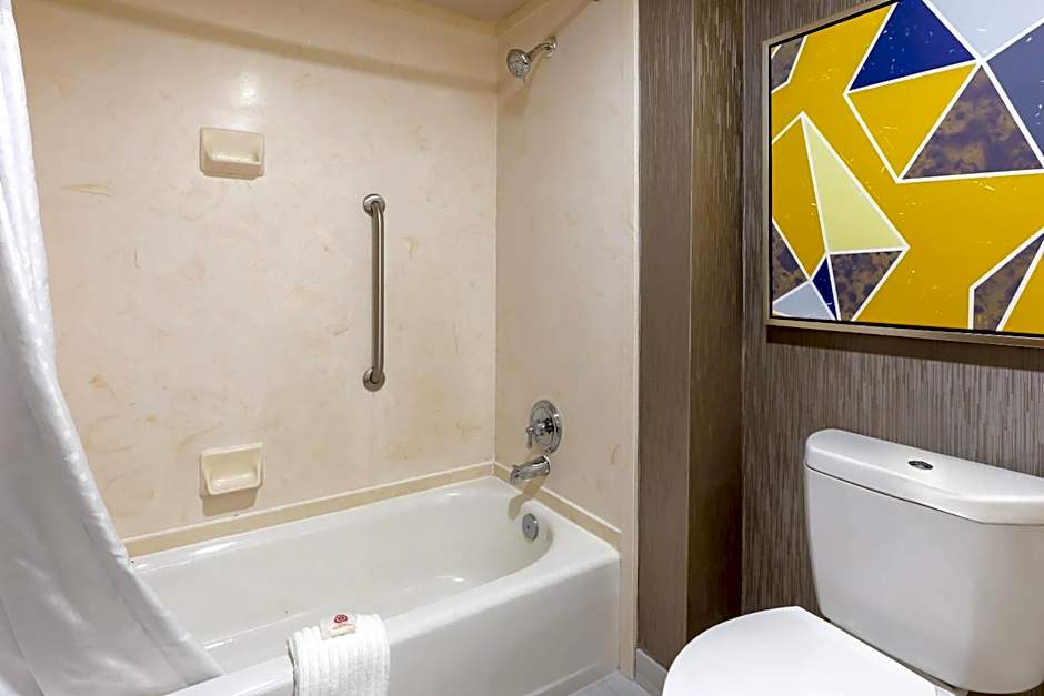 Comfort Inn & Suites Greenville Near East Carolina University