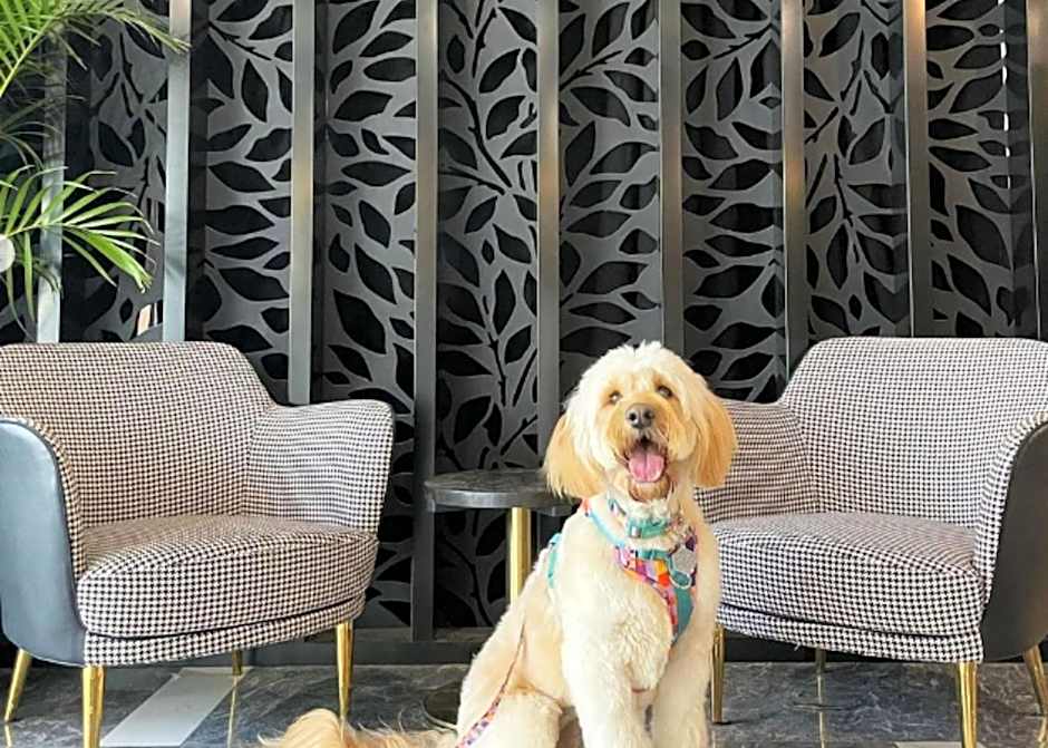 THE SEBEL CANBERRA CIVIC