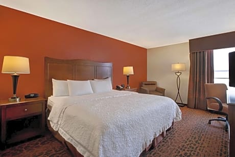 King Room with Microwave and Refrigerator – Disability Accessible/Roll-In Shower/Non-Smoking