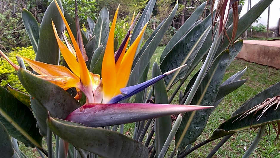 Govinda Moeda Pousada