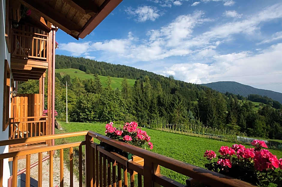 B&B Affittacamere Larix