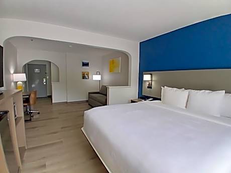 King Suite with Sofa Bed - Non-Smoking