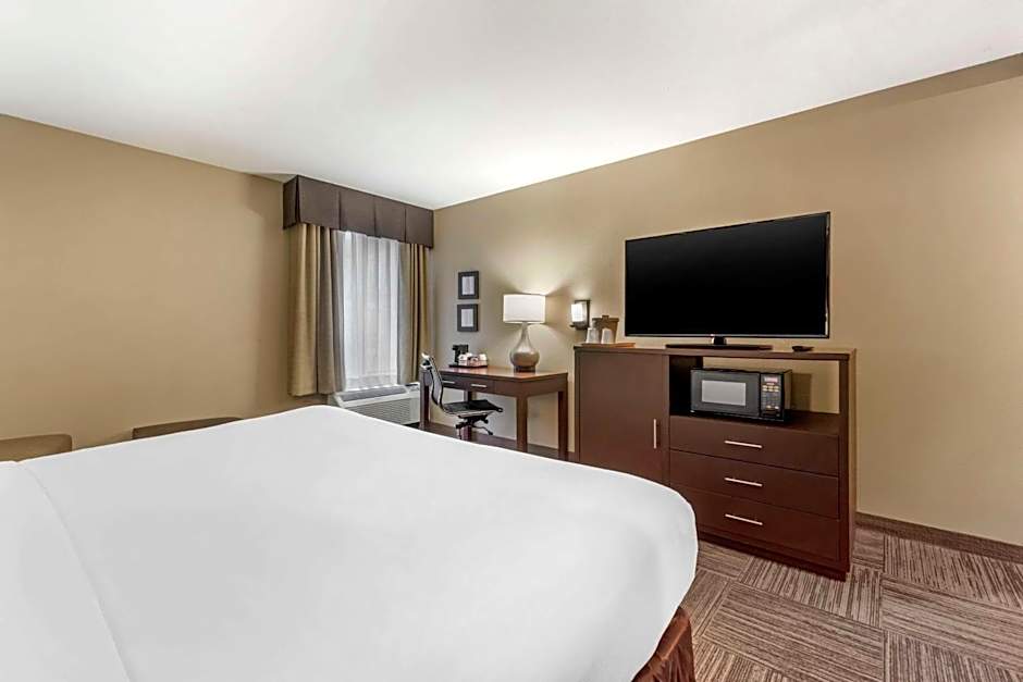 Comfort Inn & Suites Seatac