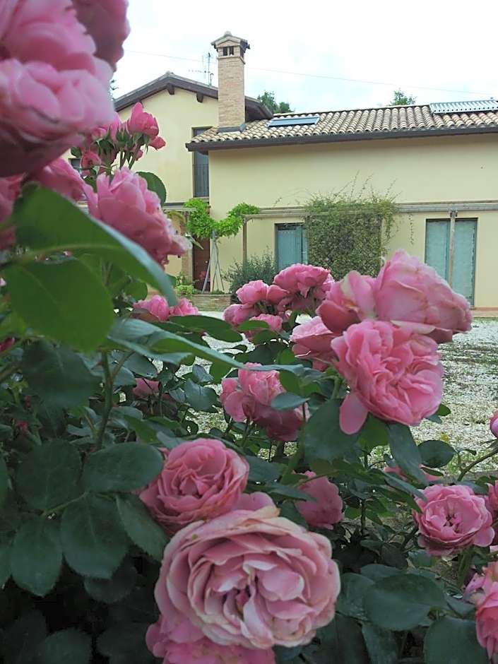 B&B Antegiano