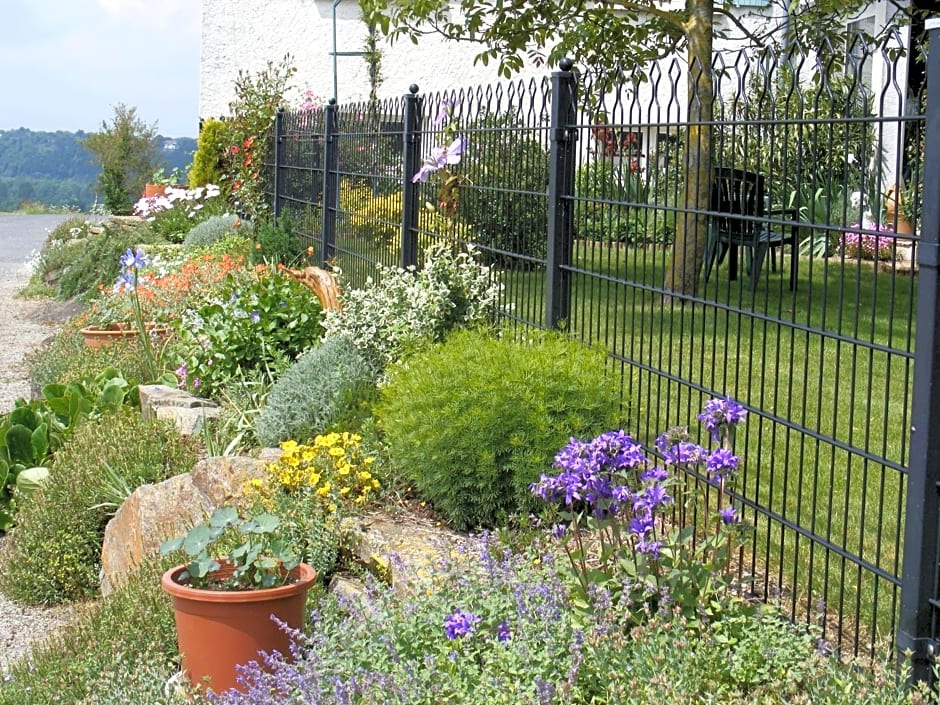 Chambres d'Hôtes Vignes et Loire