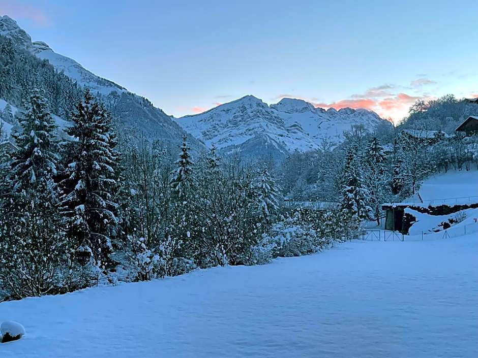 Mountain River Appart