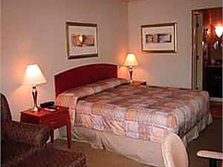 1 King Bed