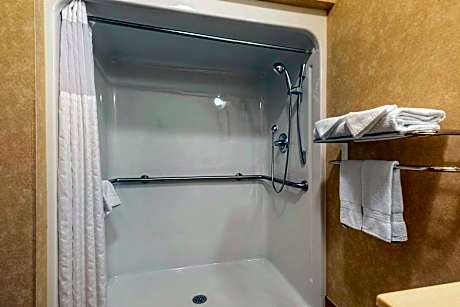 1 King Bed No Smoking Accessible Room