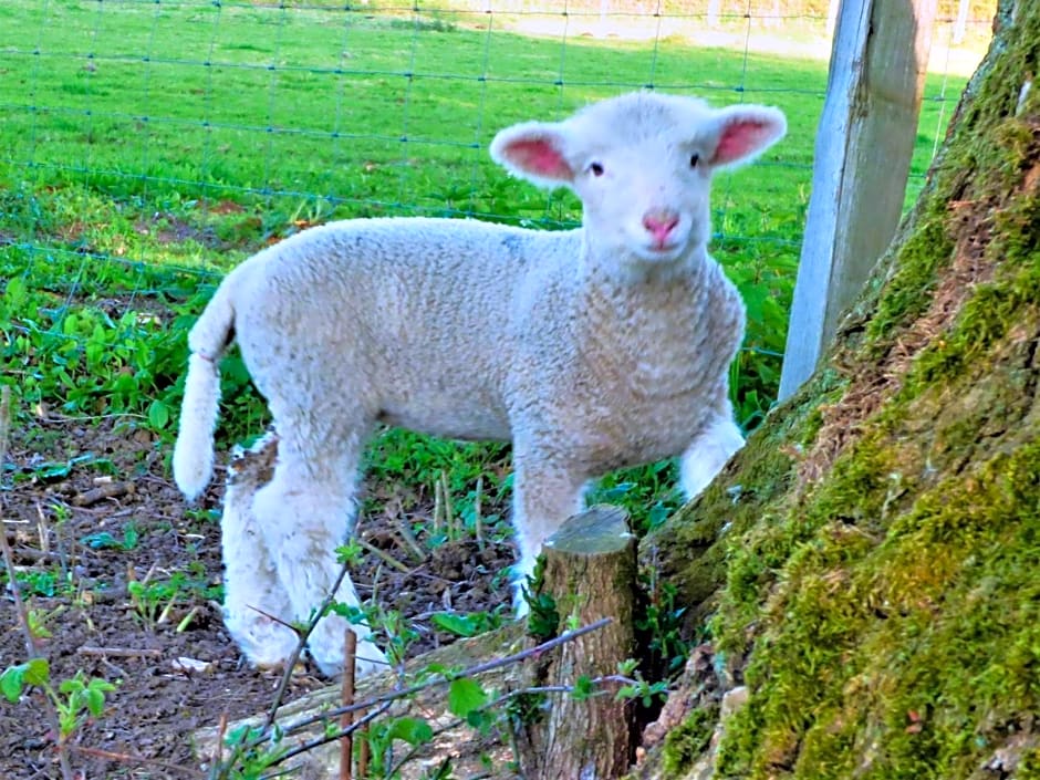 L'Ancien Presbytère Chambres D'hote ou Gite