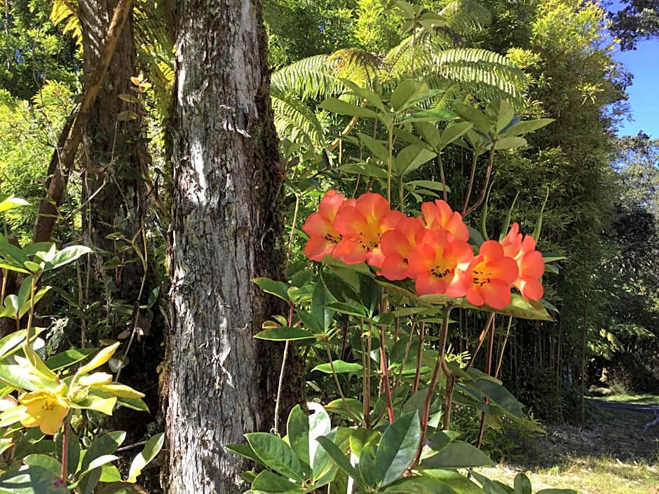 Hale 'Ohu Bed & Breakfast
