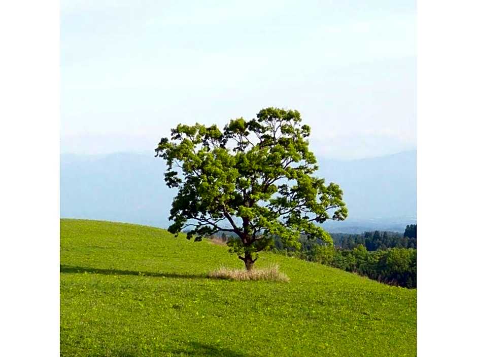 Resonate Club Shape - Vacation STAY 60134v