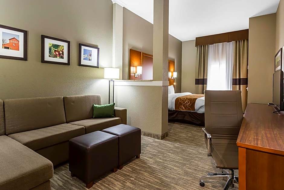 Comfort Suites University