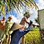 Puri Dajuma Terrace Eco Lodge & Spa