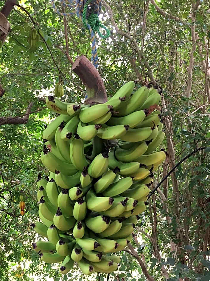 Rossmount Rural Retreat