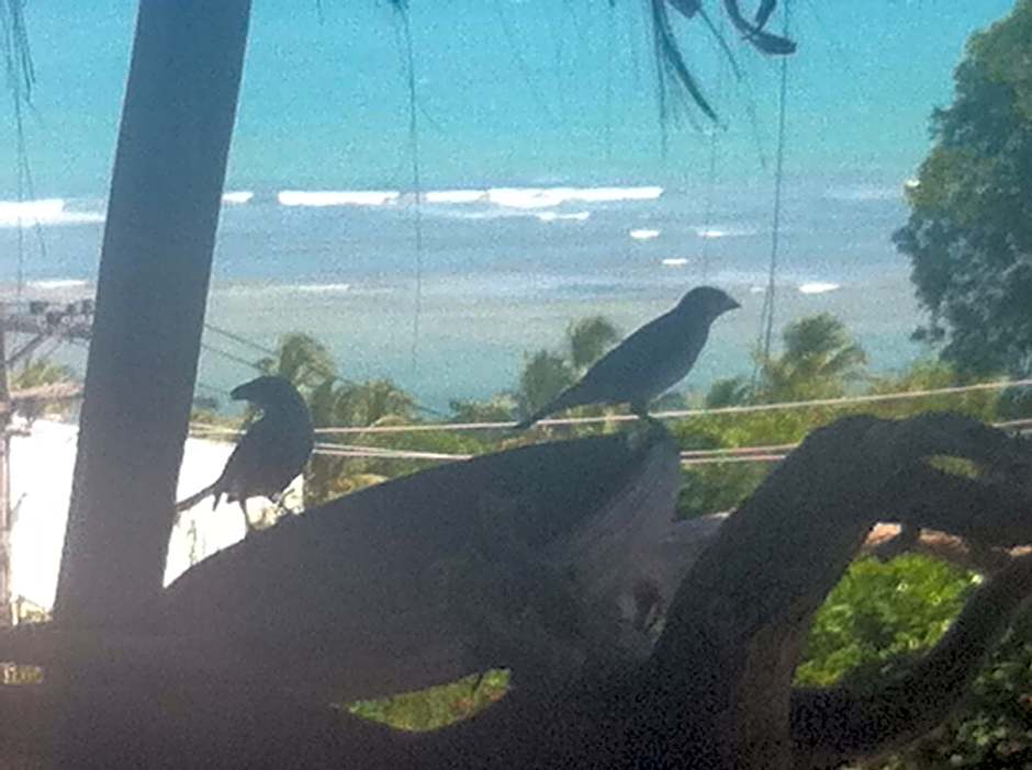 Novos Baianos Hostel e Pousada