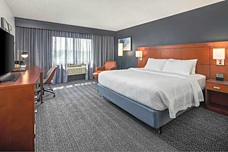 Guest room, 1 King, City view