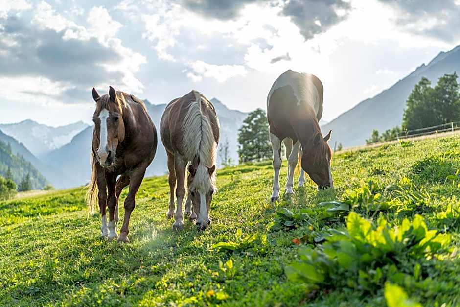 Der Ortnerhof - Hotel & Reiterhof