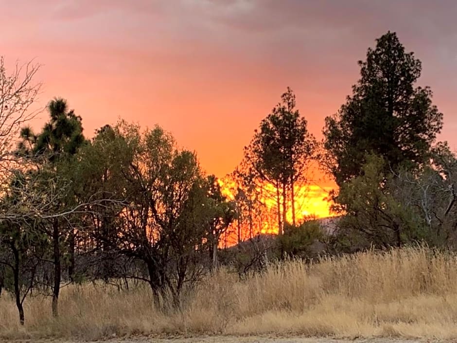 Kransberg Country Lodge Guest Farm