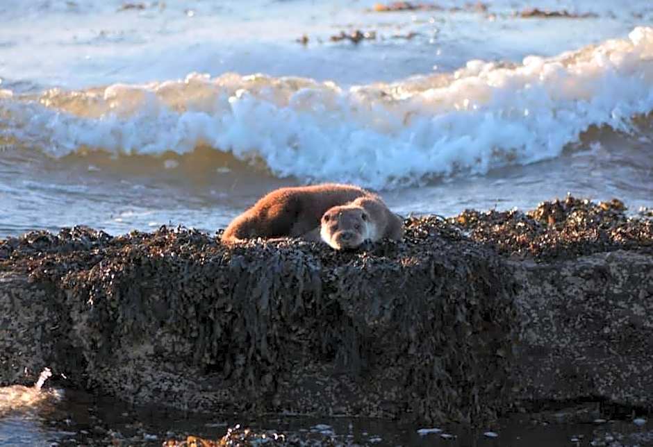 Breakish Escape B&B-near Broadford